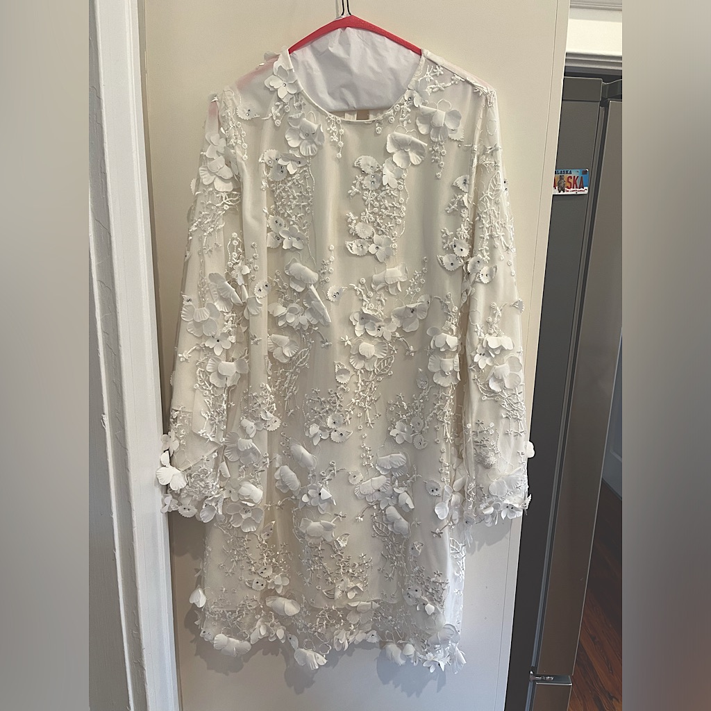 Mestiza New York 3d Floral Lace Embellished Dress Size Large